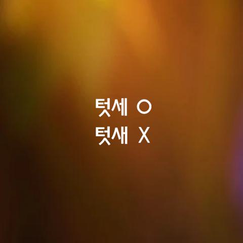 알쏭달쏭 우리말