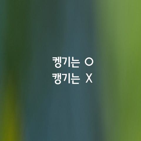 알쏭달쏭 우리말