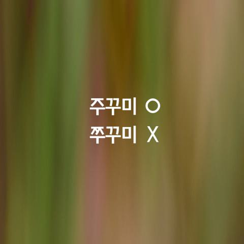 알쏭달쏭 우리말