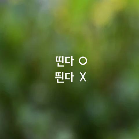 알쏭달쏭 우리말