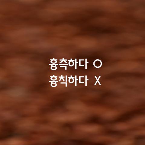 알쏭달쏭 우리말