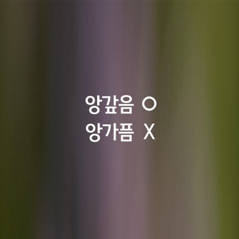 알쏭달쏭 우리말