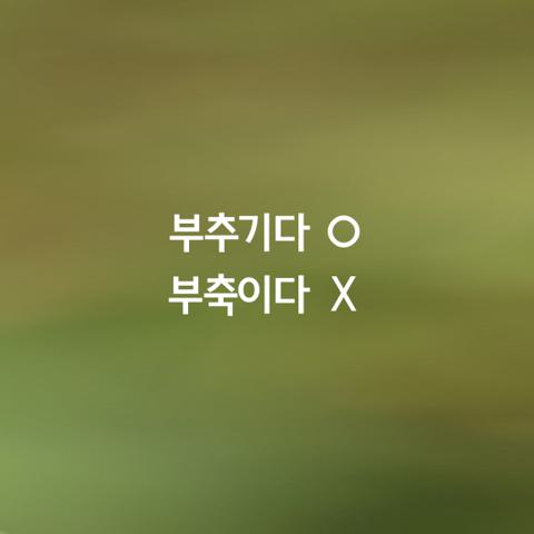 알쏭달쏭 우리말