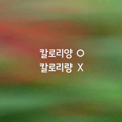 알쏭달쏭 우리말