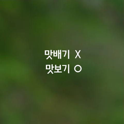 알쏭달쏭 우리말