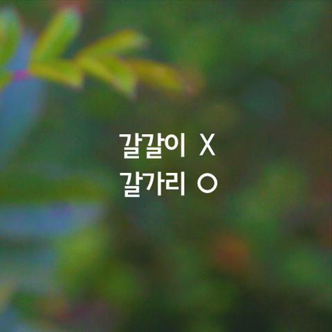 알쏭달쏭 우리말