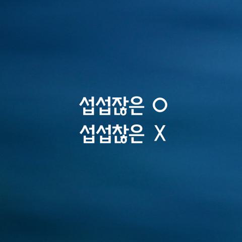 알쏭달쏭 우리말