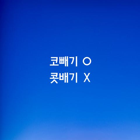 알쏭달쏭 우리말