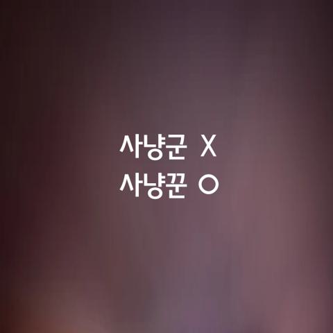 알쏭달쏭 우리말