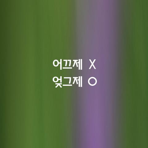 알쏭달쏭 우리말