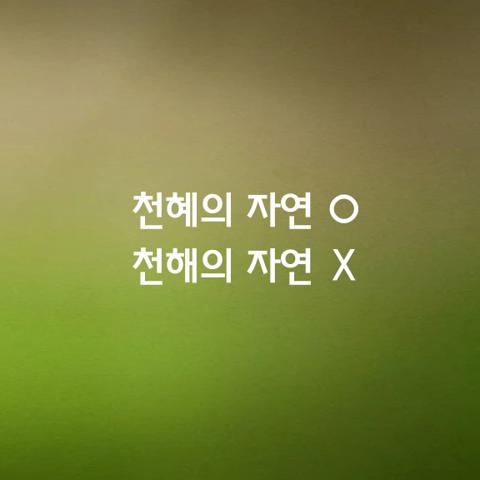 알쏭달쏭 우리말