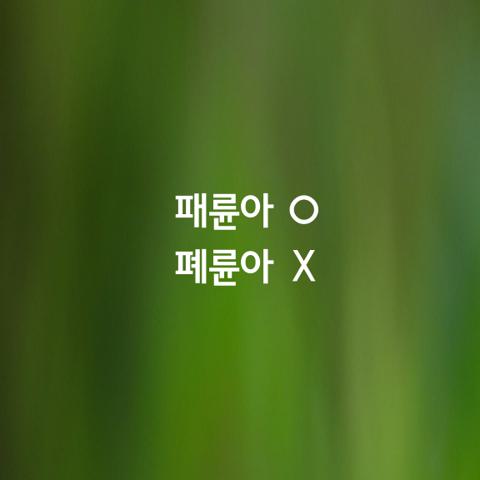 알쏭달쏭 우리말