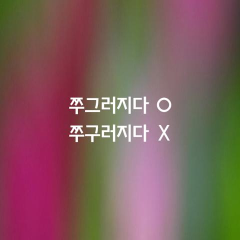 알쏭달쏭 우리말