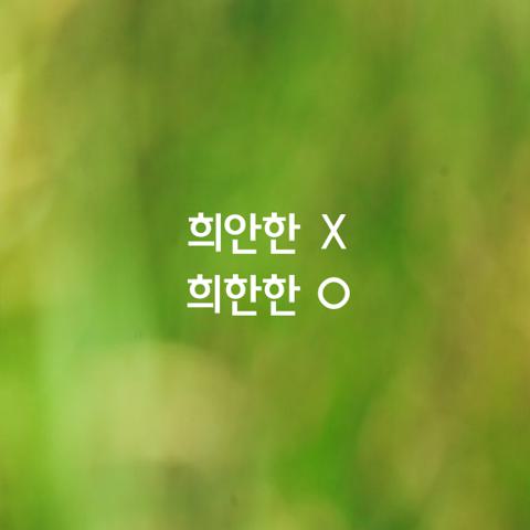 알쏭달쏭 우리말
