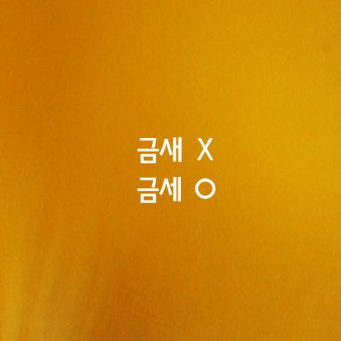 알쏭달쏭 우리말