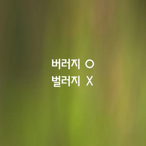알쏭달쏭 우리말