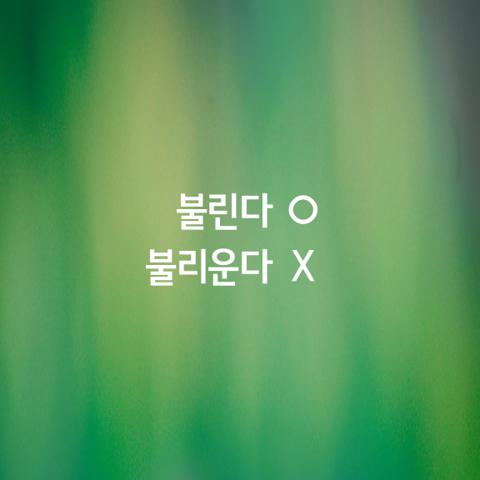알쏭달쏭 우리말