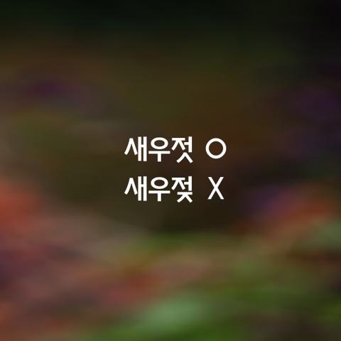알쏭달쏭 우리말