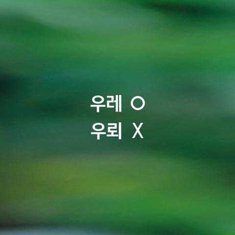 알쏭달쏭 우리말