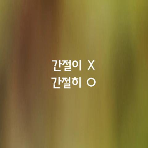 알쏭달쏭 우리말