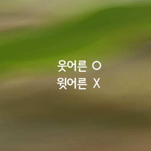 알쏭달쏭 우리말