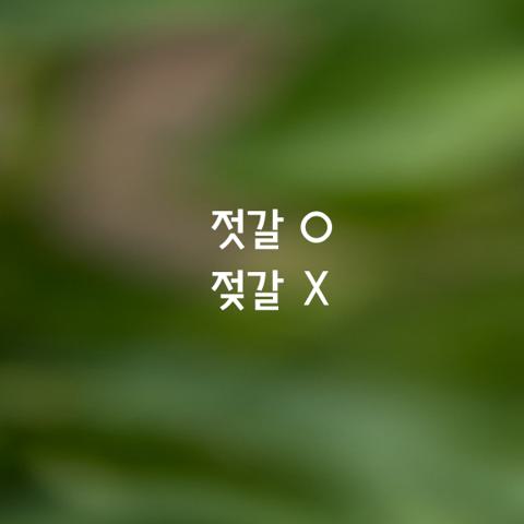알쏭달쏭 우리말