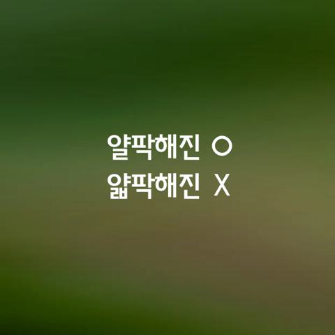 알쏭달쏭 우리말