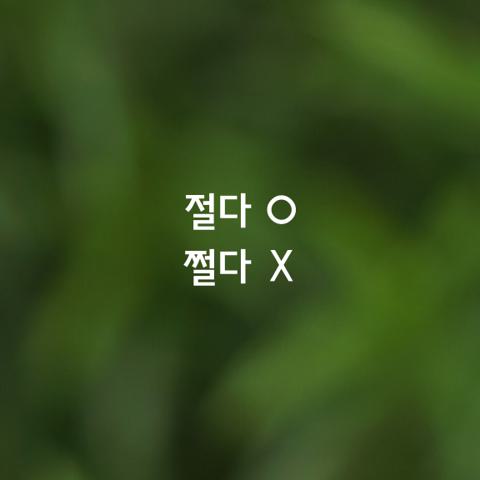 알쏭달쏭 우리말