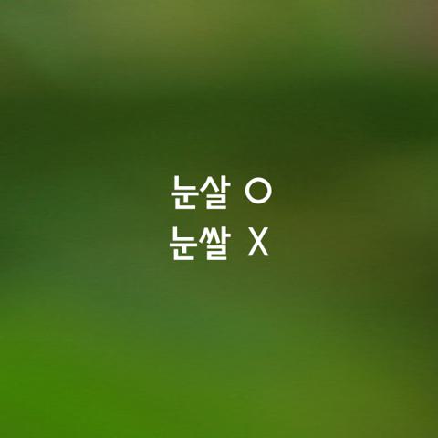 알쏭달쏭 우리말