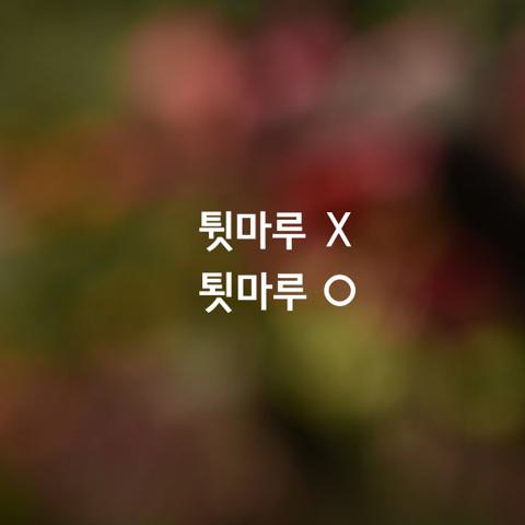 알쏭달쏭 우리말