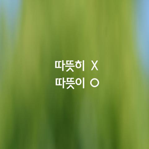 알쏭달쏭 우리말