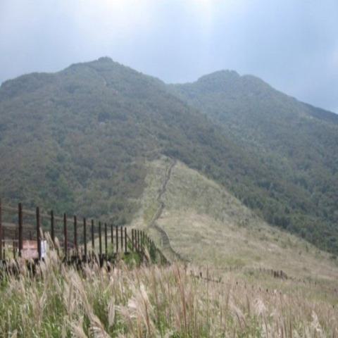 언덕을 내려가는 바람에게 김기철