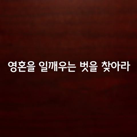 영혼을 일깨우는 벗을 찾아라