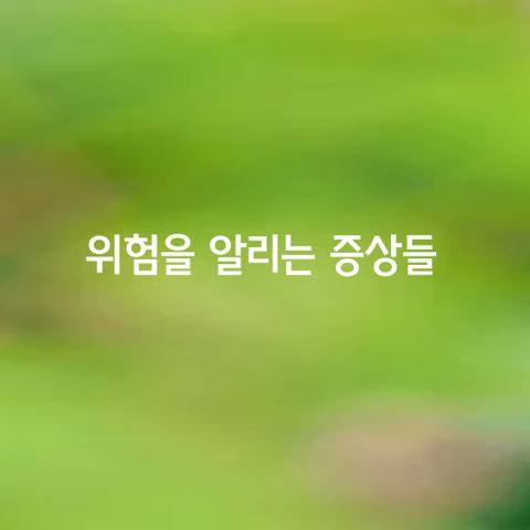 위험을 알리는 가지 증상들