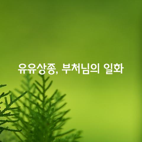 유유상종 부처님의 일화