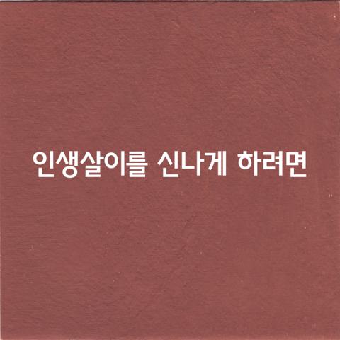 인생 살이