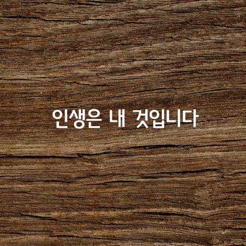 인생은 남의 것이 아니라 내 것입니다