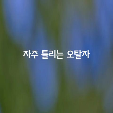 일상에서 자주 틀리는 오탈자