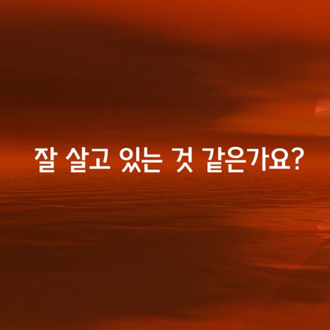 잘 살고 있는 것 같은가요