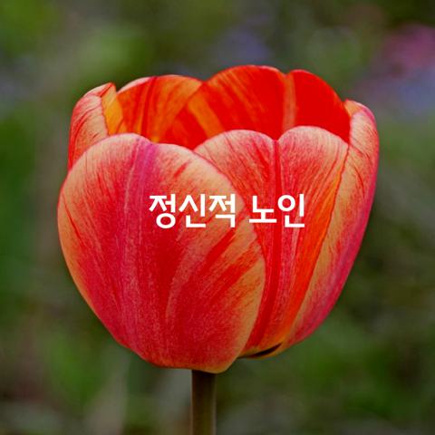 정신적 노인