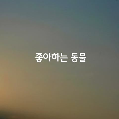 좋아하는 동물