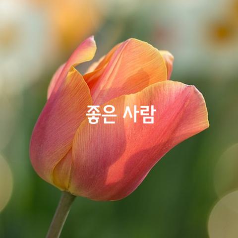 좋은 사람은 가슴에 담아놓기만 해도 좋다