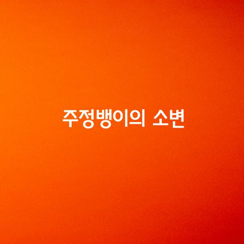 주정뱅이의 소변