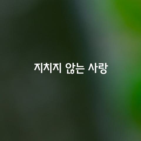 지치지 않는 사랑