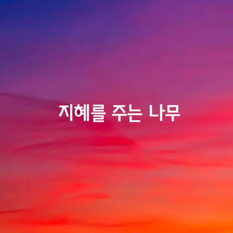 지혜를 주는 나무