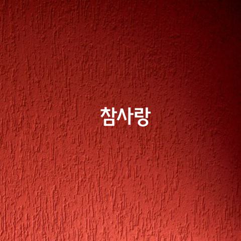 참사랑