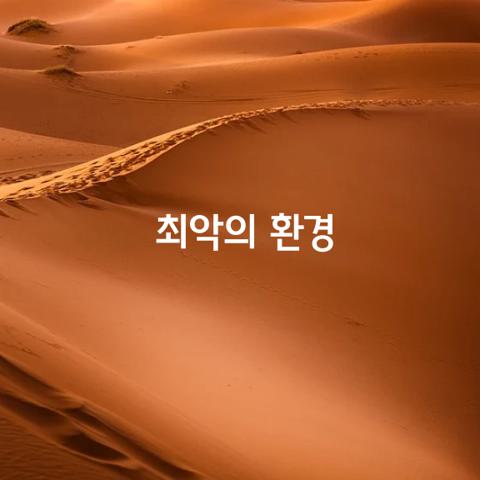 최악의 환경
