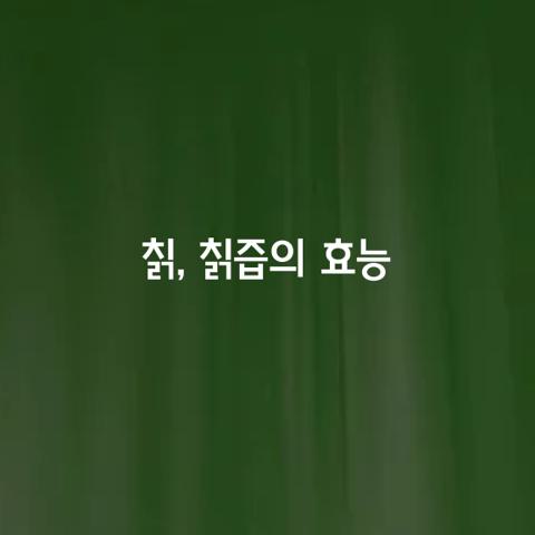 칡 칡즙의 효능 가지 복용 주의점