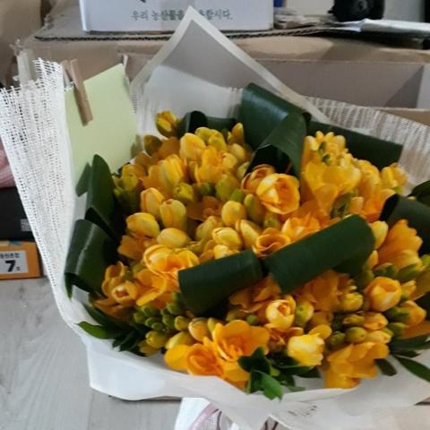 프리지어 김경림