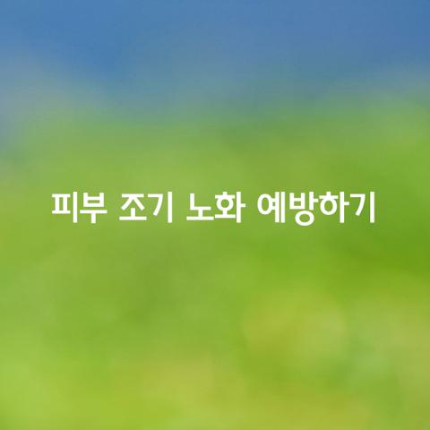 피부 조기 노화를 예방하기 위한 가지